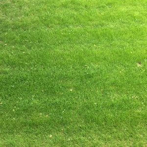 Meet your Posher, Tyrone